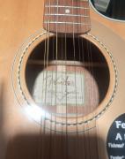 Fender Villager 12 strings
