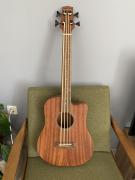 Goldtone Microbass M-BassFL