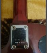 Ibanez