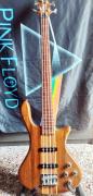 Washburn Taurus T24