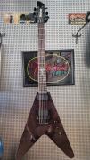 Washburn Wv66anc Nick Catanese