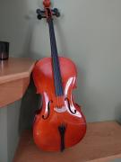 Βιολοντσέλο Ziegler CG001