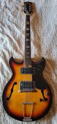 Jazz Doublecut Hollowbody Guitar
