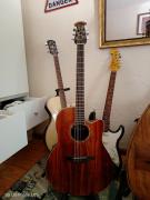Ovation celebrity