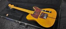 Parts Custom Tele