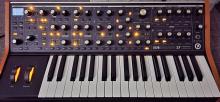 Moog subsequent 37
