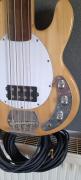Άταστο Custom build Stingray
