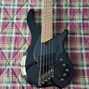 Dingwall NG3/NG2 5 string bass Nolly Getgood combustion signature