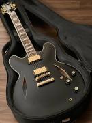 Epiphone Emily Wolfe Sheraton Stealth