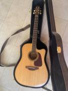 Takamine P4-DC