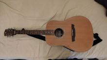 ακουστική κιθάρα Alhambra Appalachian W 300