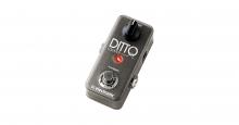 DITTO LOOPER