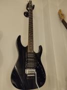 RG 320