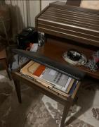 Ηλεκτρικό αρμόνιο-synthesizer Kawaii