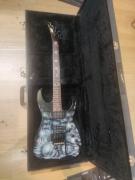Πώληση custom esp guitar