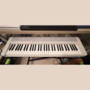 Casio CT-S1 White Casiotone