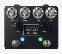 Brownie amplification protein v4