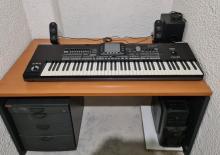Korg PA3X
