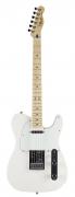 Fender Standard Telecaster Maple mim
