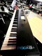 YAMAHA MODX 8+