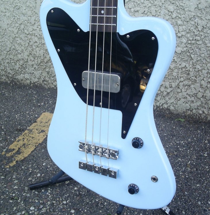 pickguard.thumb.jpg.c9f86a64b9ebc1eeb800c2b27d522918.jpg