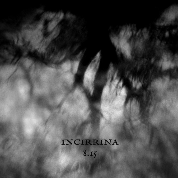 incirrina 8.15.jpg